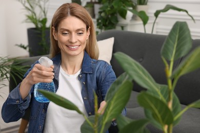 Woman spraying beautiful potted houseplants with water at home