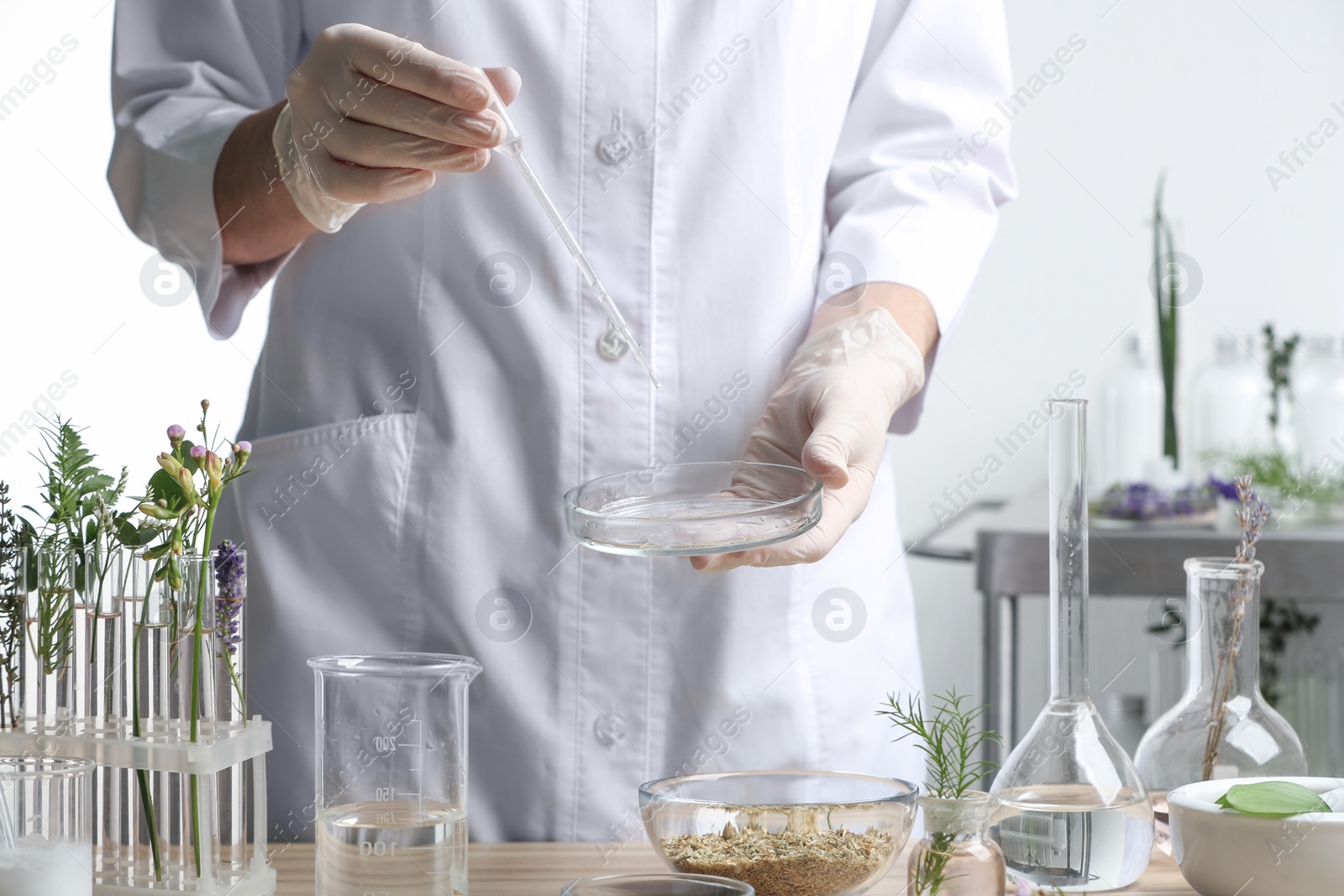 Photo of Scientist developing herbal cosmetic product in laboratory, closeup