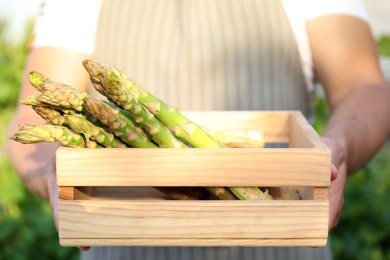 Photo of Man holding wooden crate with fresh raw asparagus outdoors, closeup