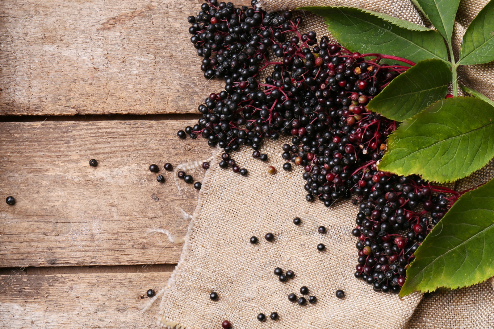 Photo of Tasty elderberries (Sambucus) on wooden table, flat lay. Space for text