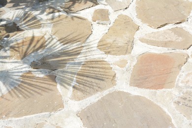 Stone pathway with shadow of palms on sunny day