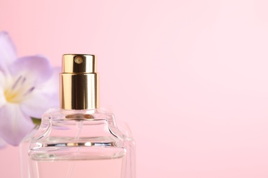 Photo of Bottle of perfume and freesia flower on pink background, closeup. Space for text