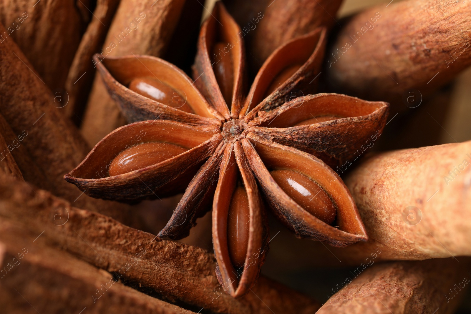 Photo of Aromatic cinnamon sticks and anise star as background, closeup