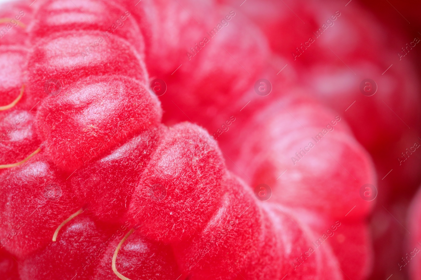 Photo of Texture of fresh ripe raspberry, macro view