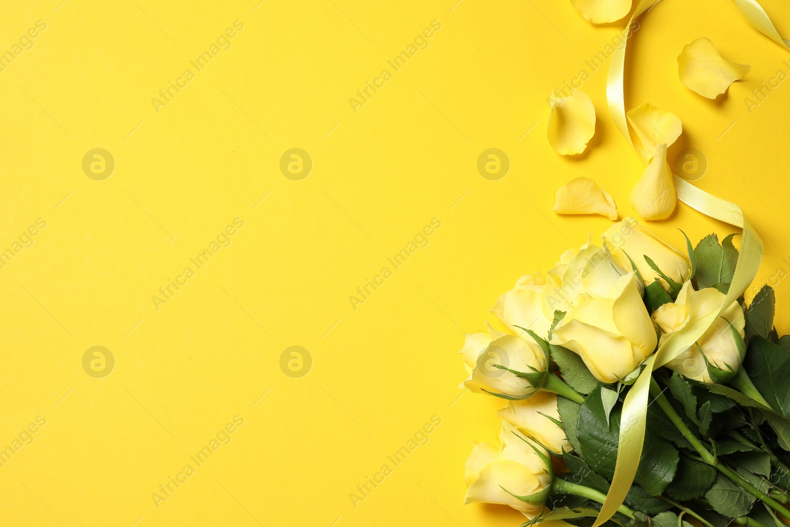 Photo of Beautiful roses, petals and ribbon on yellow background, flat lay. Space for text