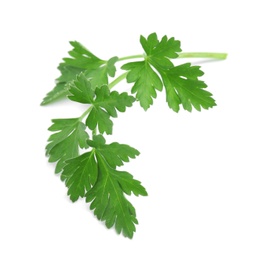 Leaves of fresh tasty parsley on white background