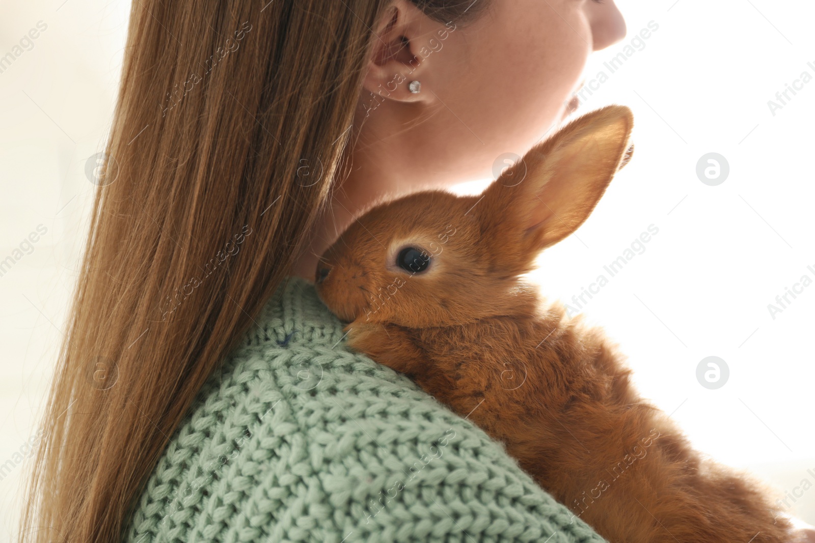 Photo of Young woman with adorable rabbit indoors, closeup. Lovely pet