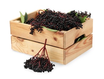 Crate with ripe elderberries and green leaves on white background