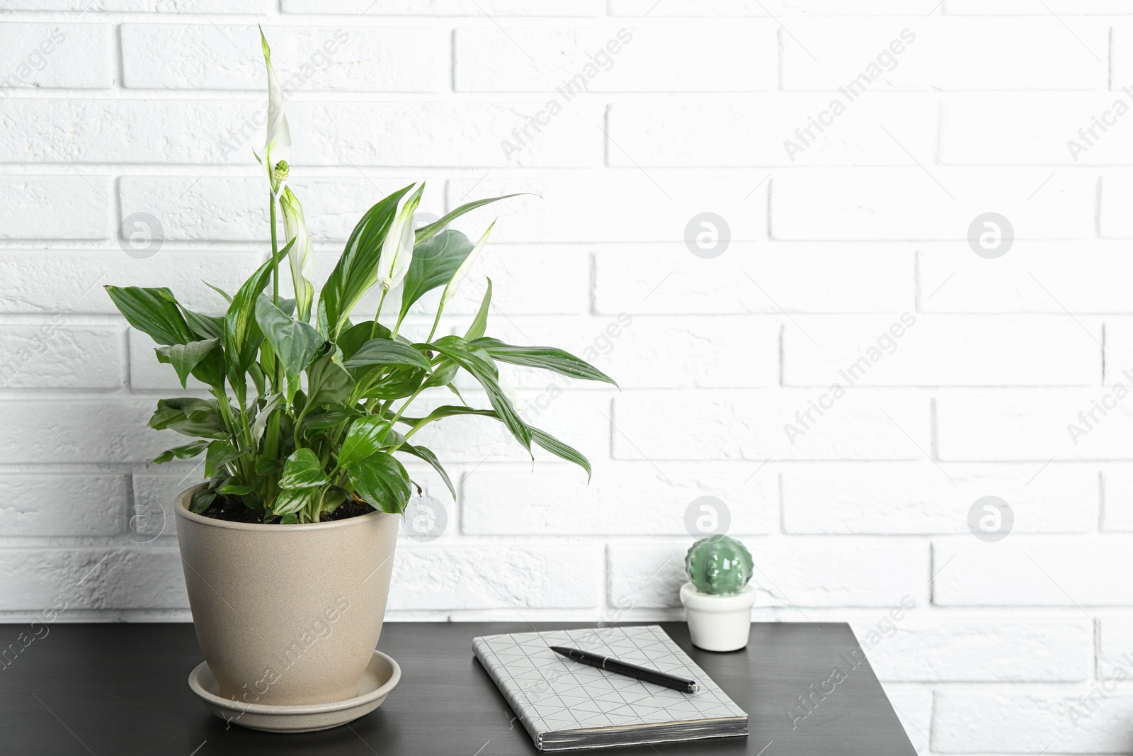Photo of Composition with peace lily and notebook on table against brick wall. Space for text