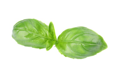 Photo of Fresh green basil leaves on white background