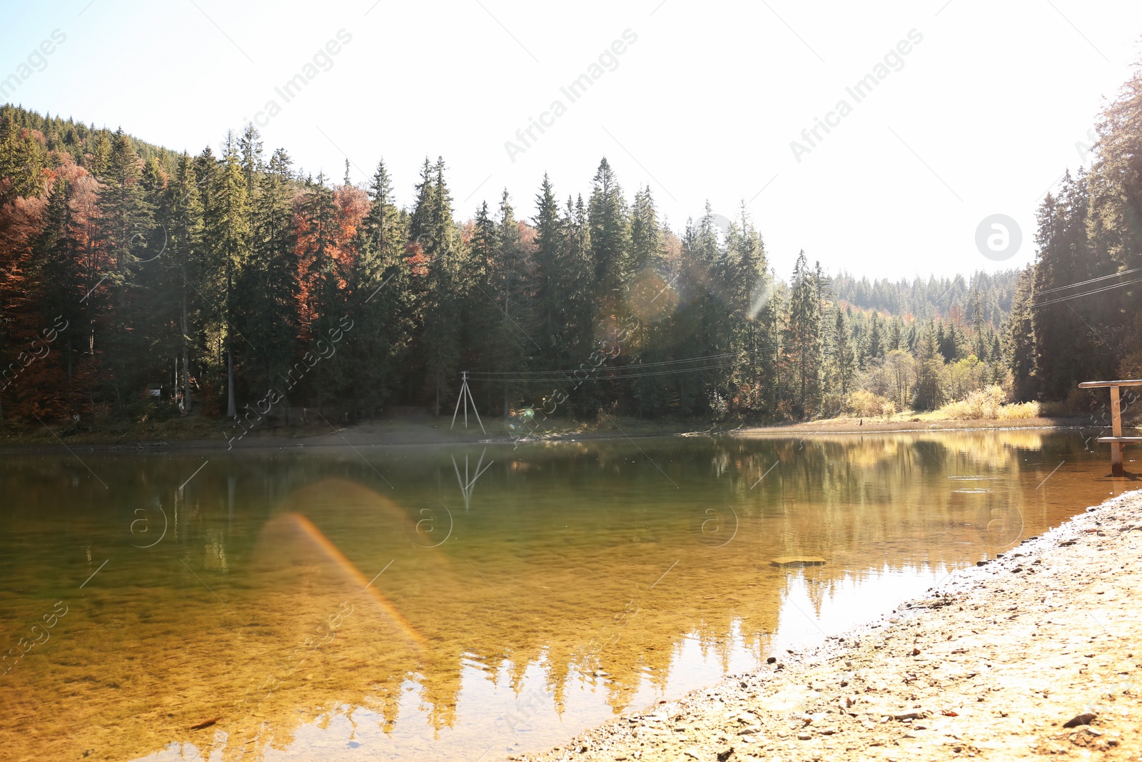 Photo of Beautiful mountain landscape with forest near water