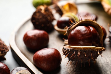 Photo of Horse chestnuts on wooden tray, closeup view