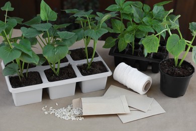 Vegetable seedlings growing in plastic containers with soil and seeds on table