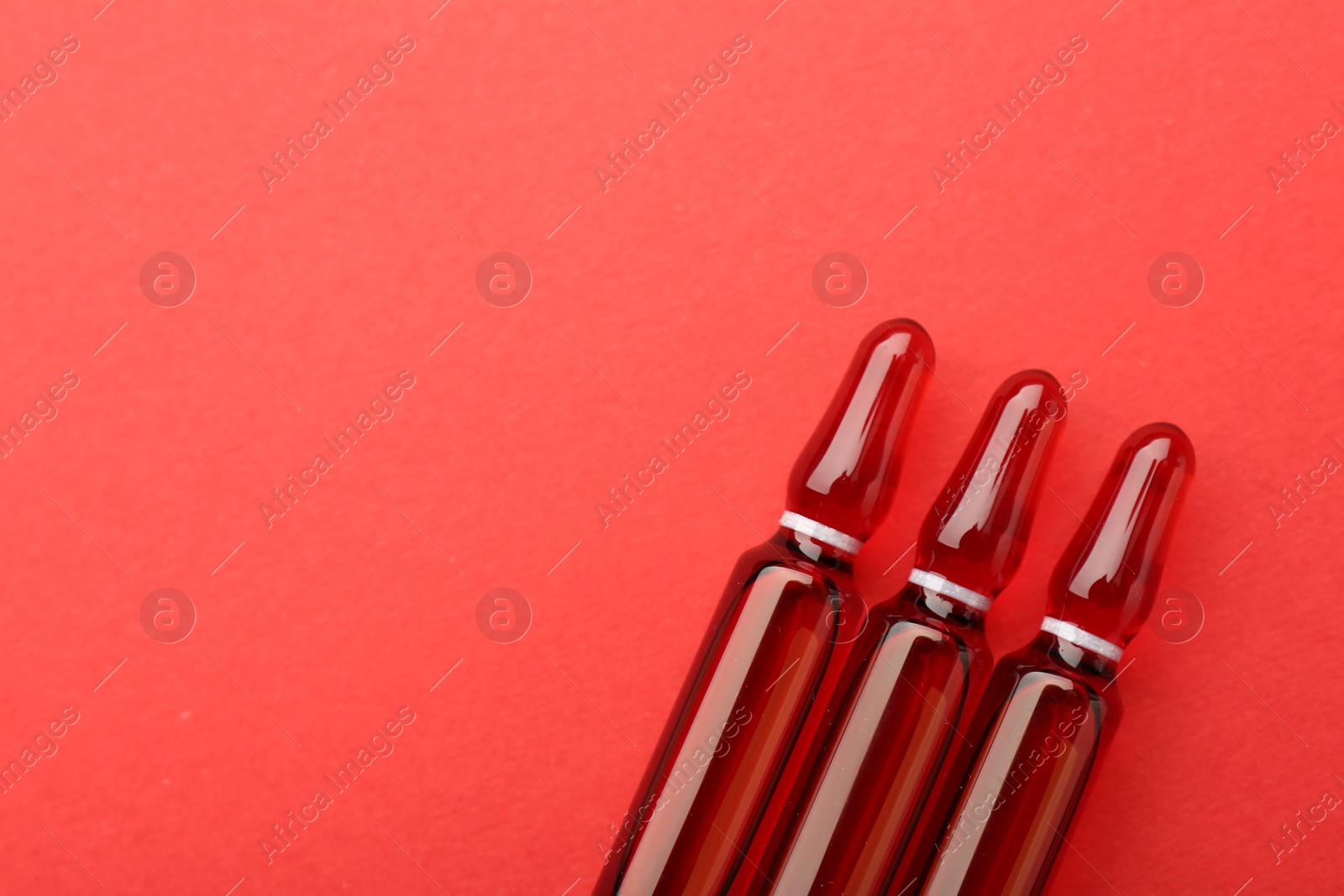 Photo of Glass ampoules with liquid on red background, top view. Space for text