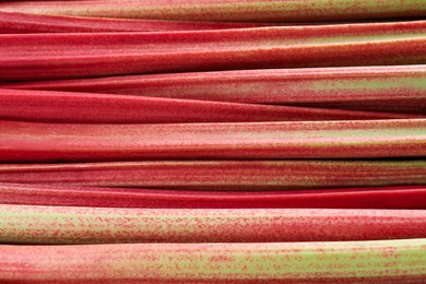 Photo of Fresh ripe rhubarb stalks as background, closeup