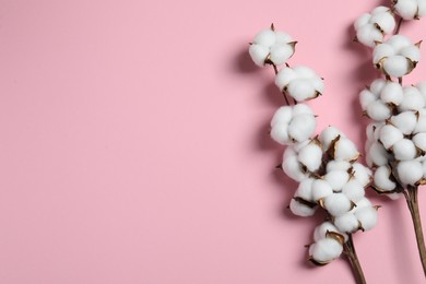 Photo of Branches with cotton flowers on pink background, top view. Space for text