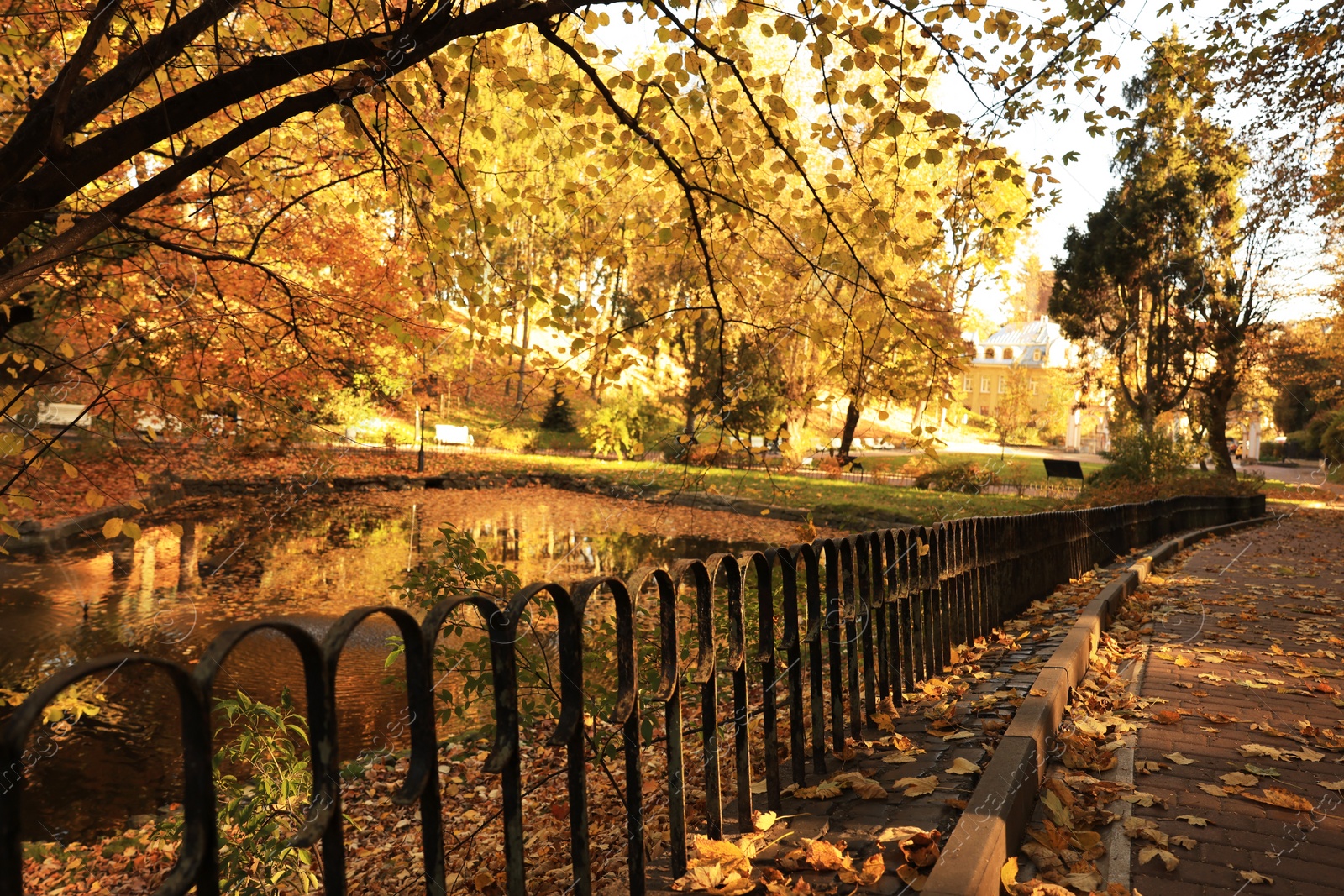 Photo of Beautiful yellowed trees and lake in park on sunny day