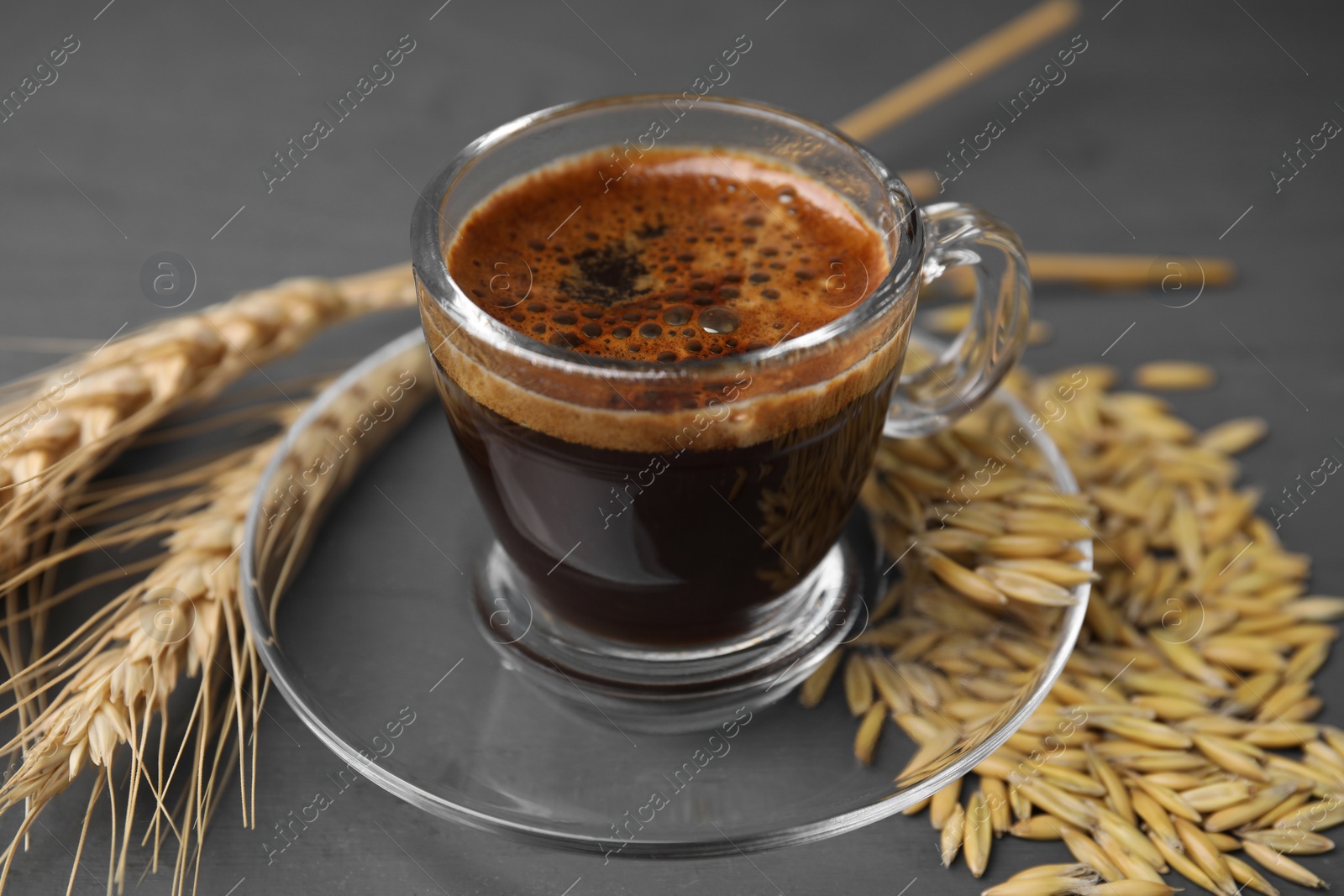 Photo of Cup of barley coffee, grains and spikes on gray table, closeup