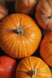 Photo of Many orange pumpkins as background, closeup. Autumn holidays