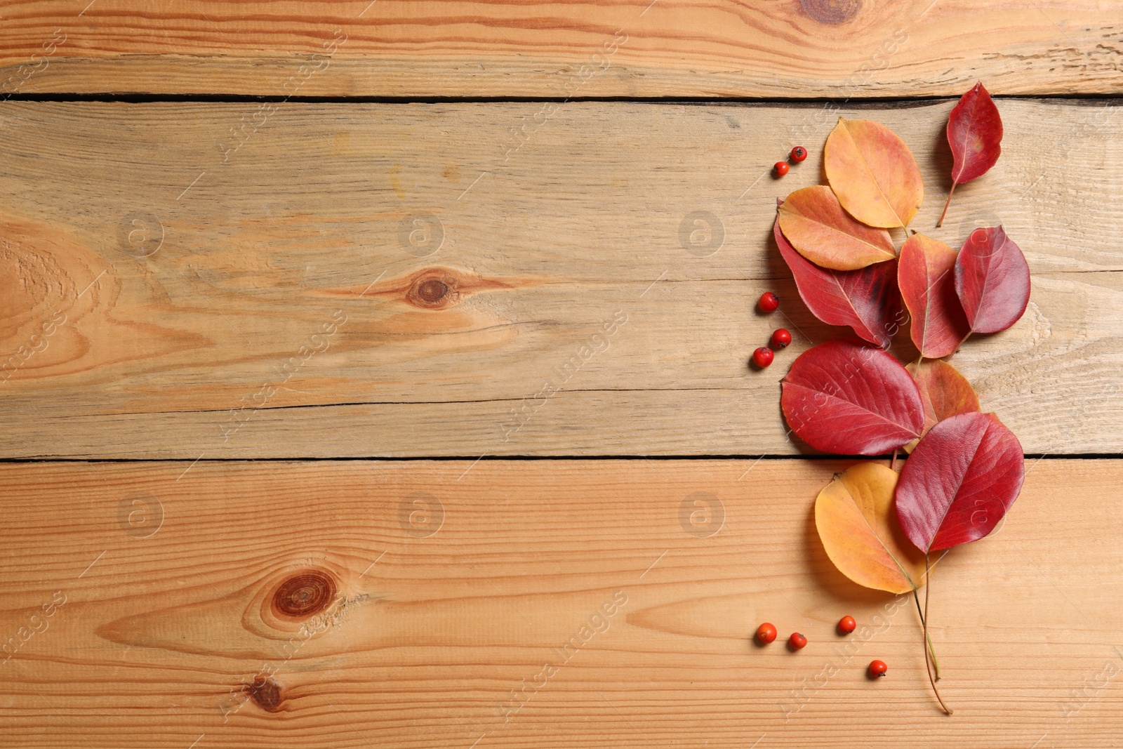 Photo of Composition with autumn leaves and space for text on wooden background, top view