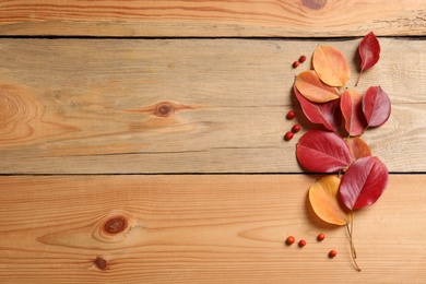 Composition with autumn leaves and space for text on wooden background, top view