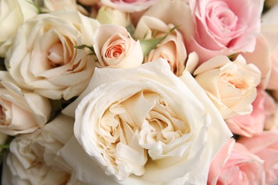 Photo of Beautiful rose flowers as background, top view