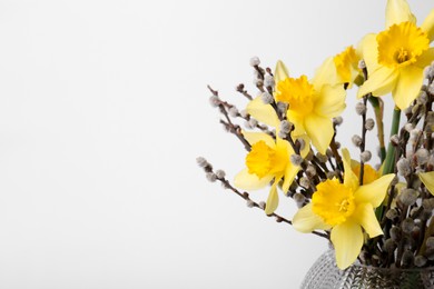 Bouquet of beautiful yellow daffodils and willow twigs in vase on white background, space for text