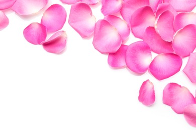 Many pink rose petals on white background, top view