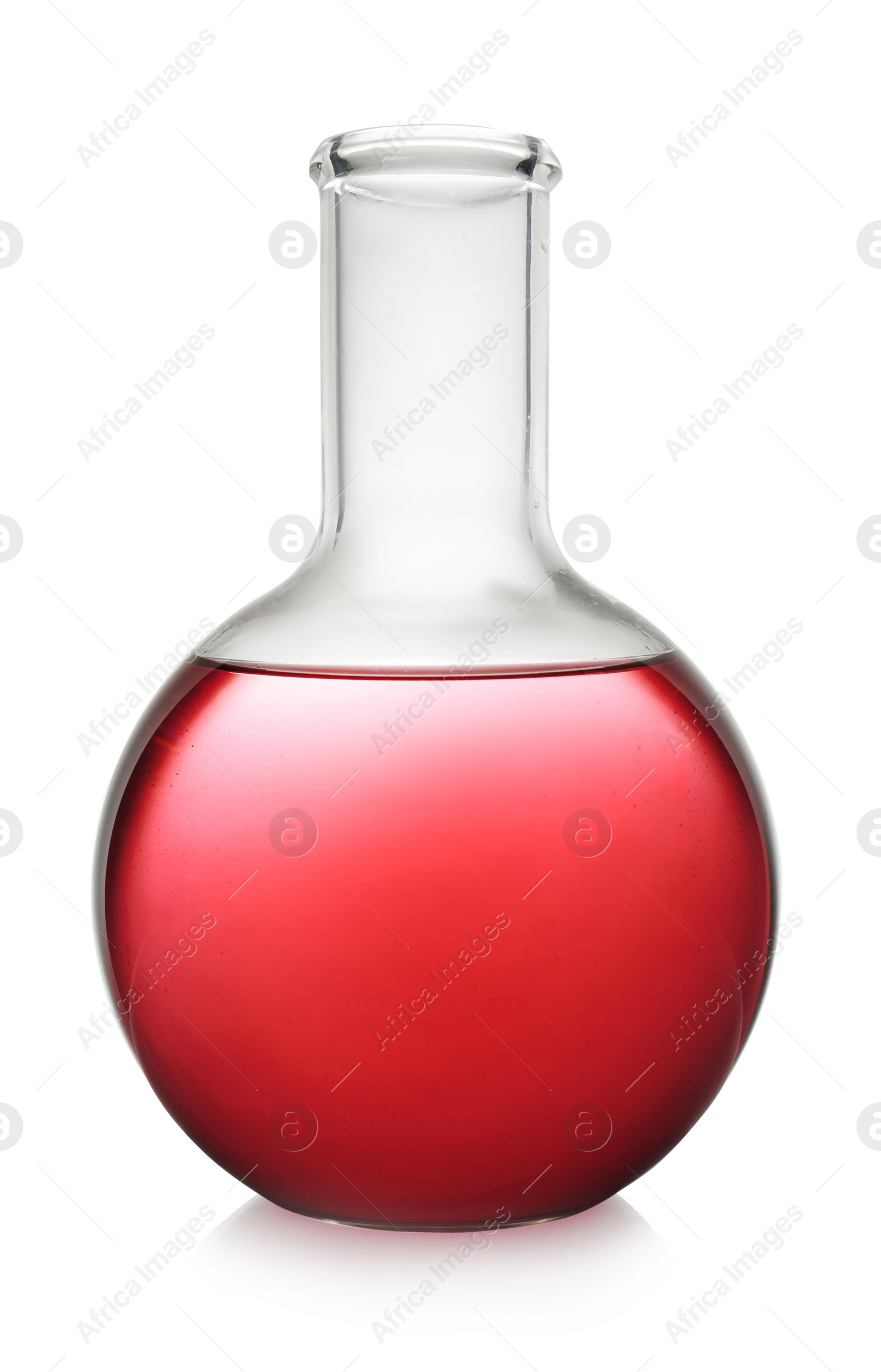 Photo of Florence flask with color liquid isolated on white. Solution chemistry