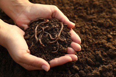 Photo of Woman holding soil with earthworms above ground, closeup. Space for text