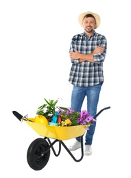 Male gardener with wheelbarrow and plants on white background