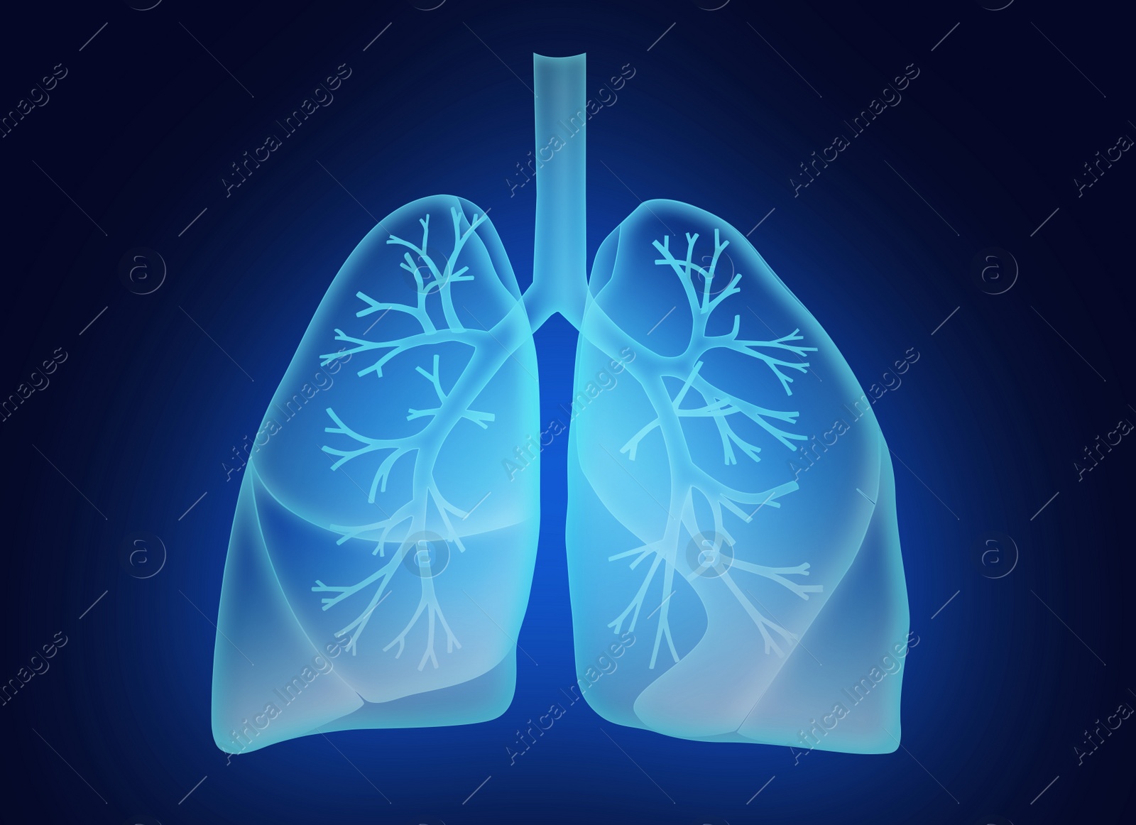 Illustration of  human lungs on dark blue background