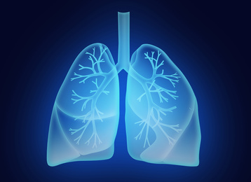 Illustration of  human lungs on dark blue background