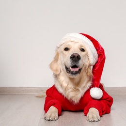 Photo of Cute dog in warm sweater and Christmas hat on floor