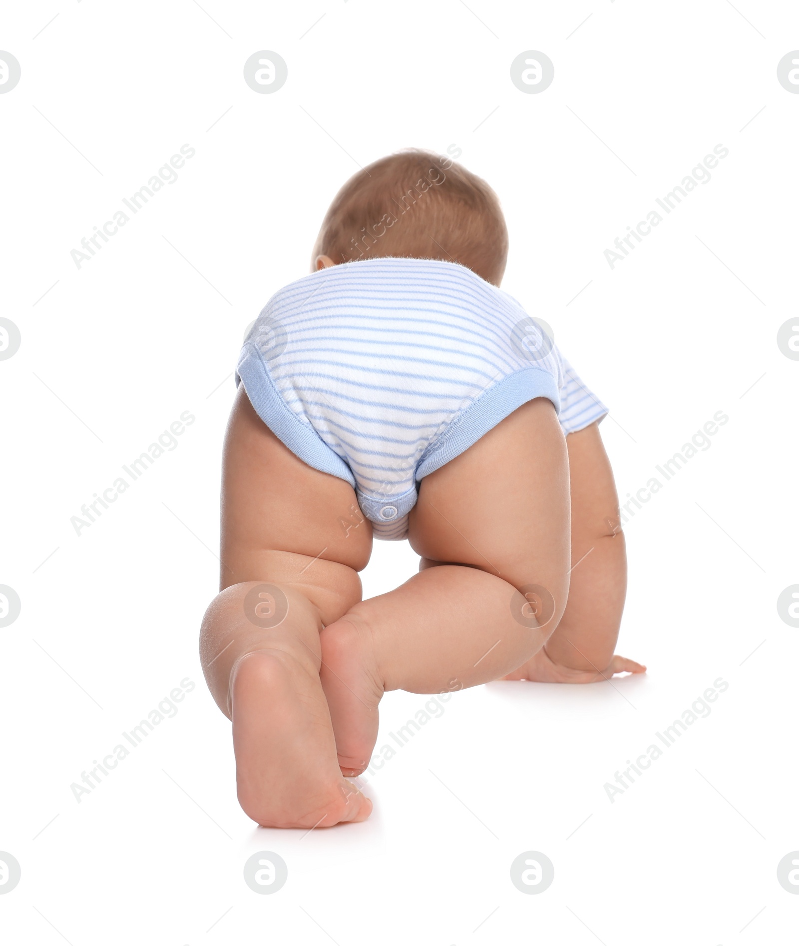 Photo of Cute little baby boy crawling on white background, back view