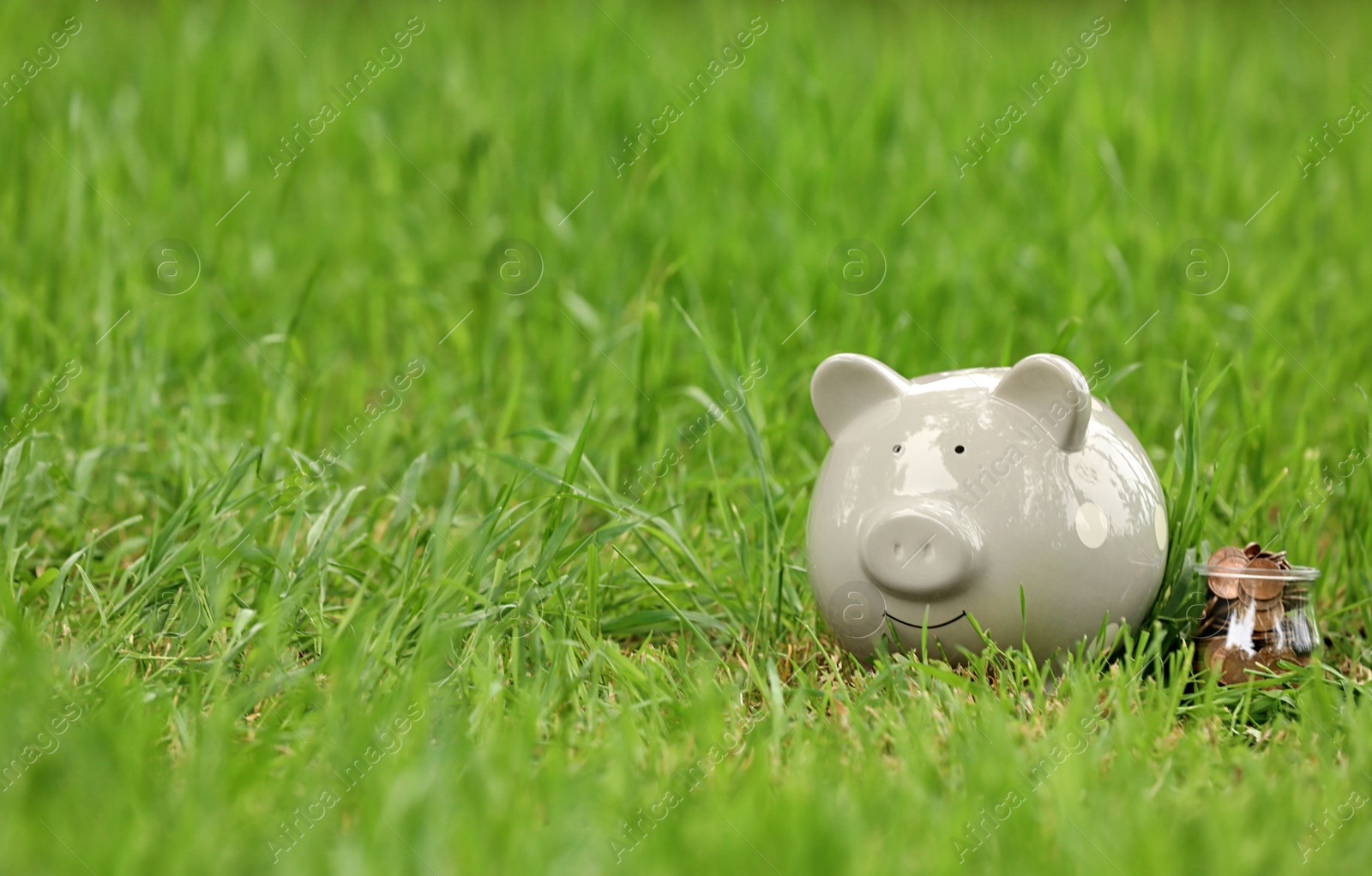 Photo of Cute piggy bank and jar with coins on green grass in park. Space for text