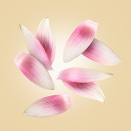 Image of Pink lotus flower petals falling on dark beige background