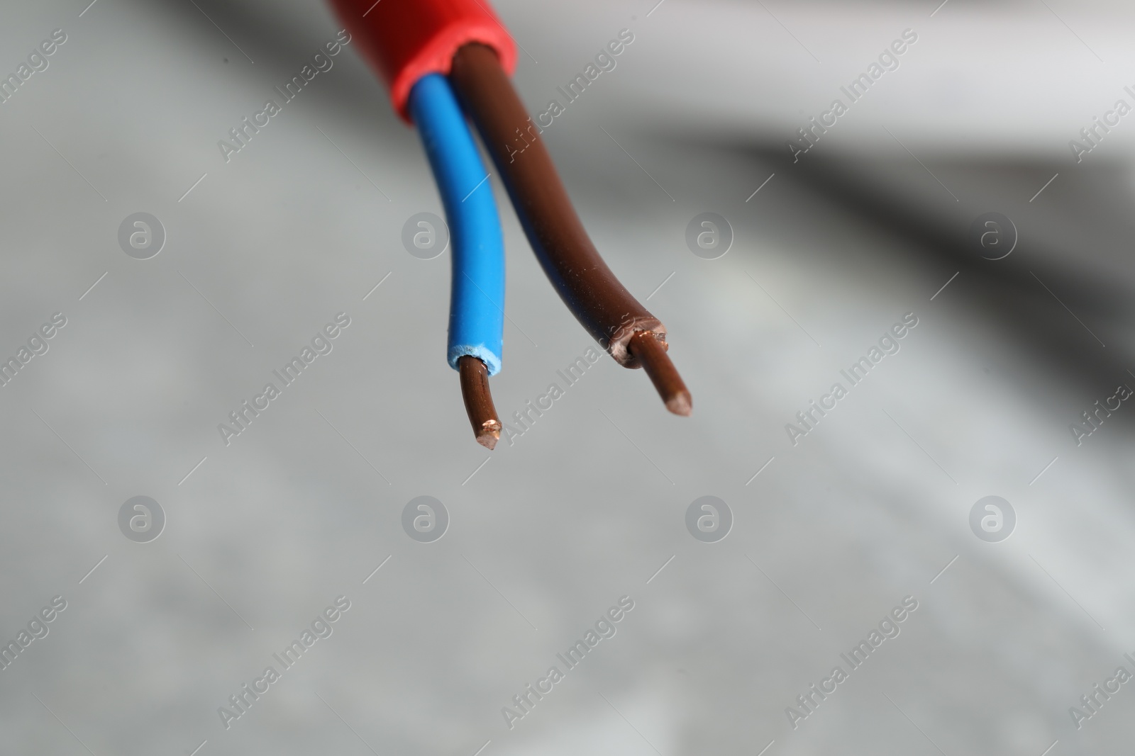 Photo of Colorful electrical wire on gray background, closeup. Space for text