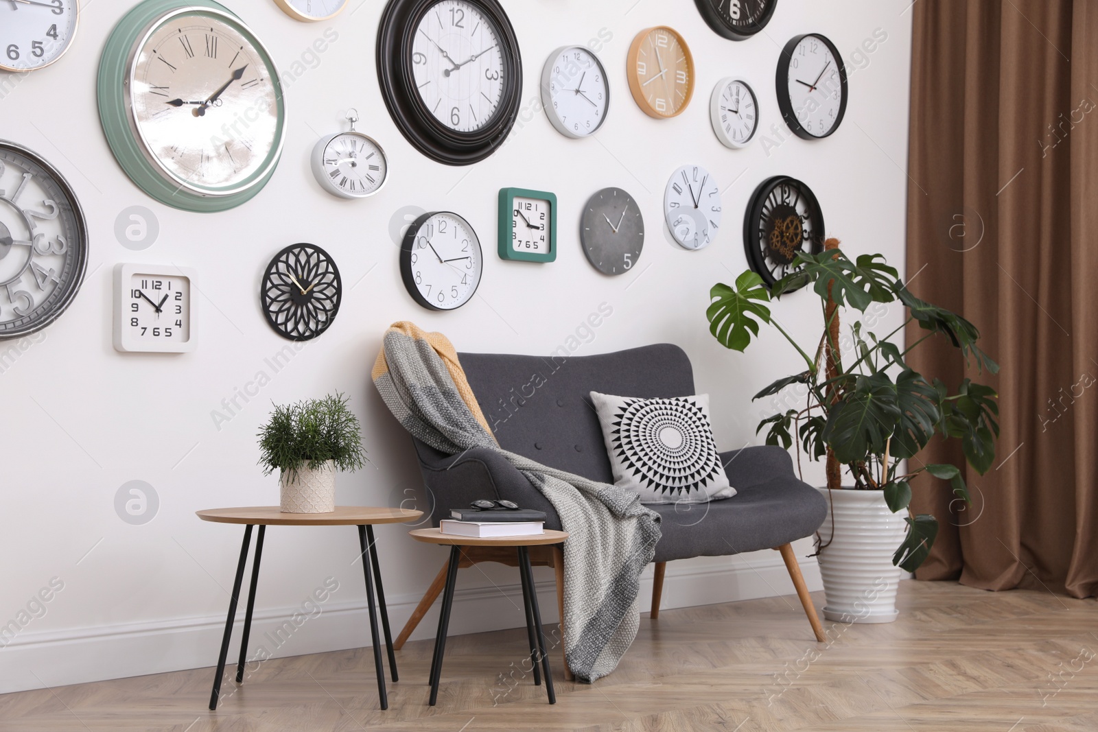 Photo of Stylish room interior with comfortable furniture, beautiful houseplant and collection of different clocks on white wall