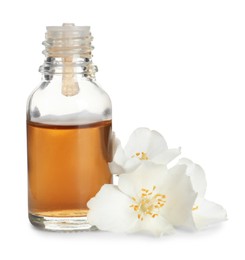 Photo of Jasmine essential oil and fresh flowers on white background