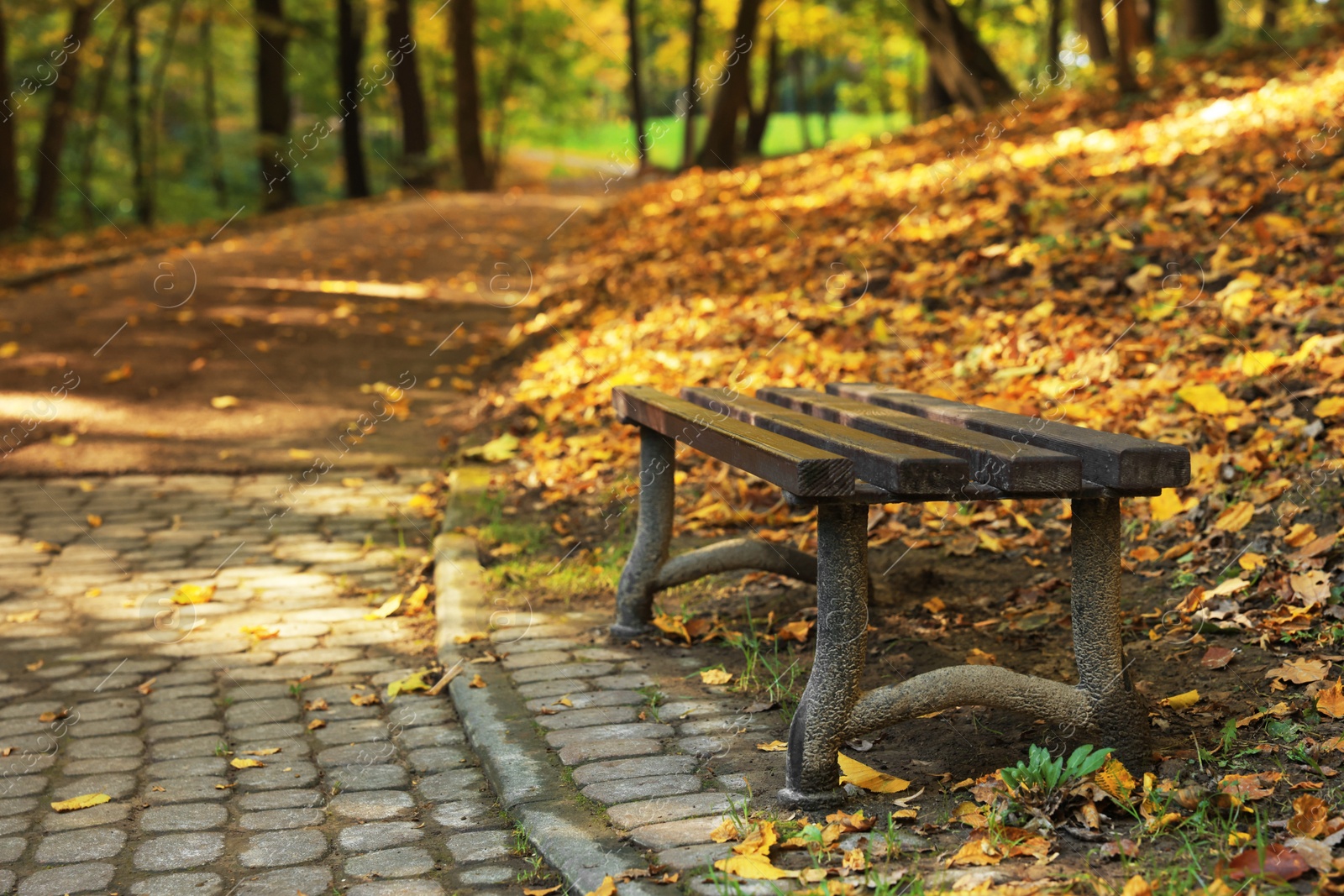 Photo of Wooden bench, pathway and fallen leaves in beautiful park on autumn day, Space for text