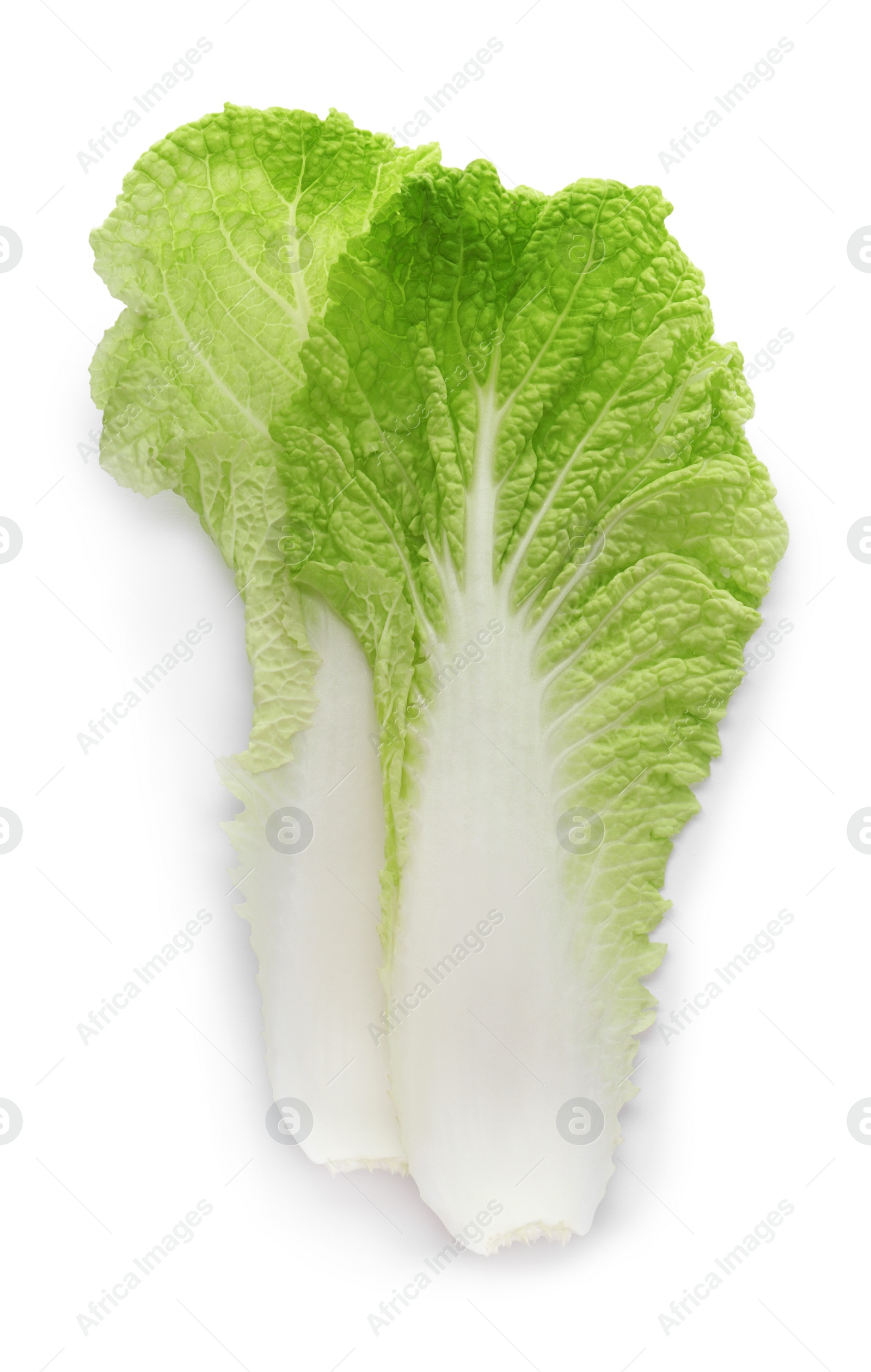 Photo of Leaves of Chinese cabbage on white background