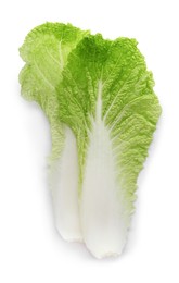 Leaves of Chinese cabbage on white background