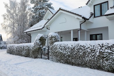Photo of Winter landscape with beautiful house, trees and bushes in morning