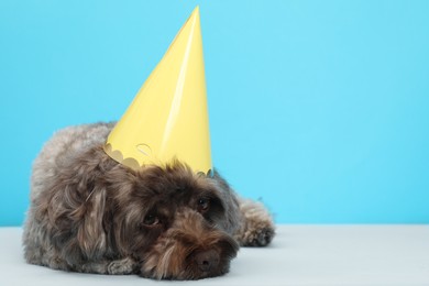 Cute Maltipoo dog with party hat on light blue background, space for text. Lovely pet