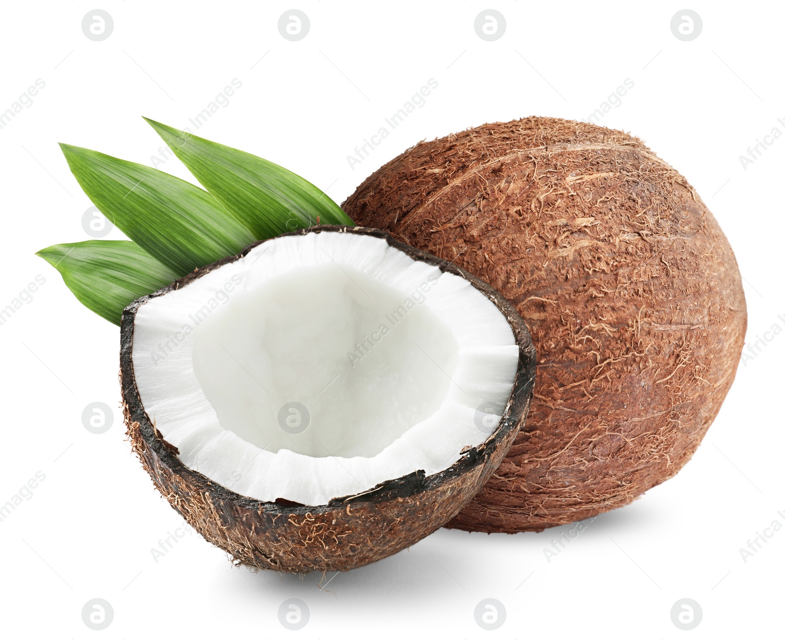 Tasty ripe coconuts and green leaves on white background Image of Tasty ripe coconuts and green leaves on white background