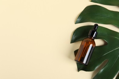 Photo of Bottle with cosmetic oil and green leaf on beige background, top view. Space for text