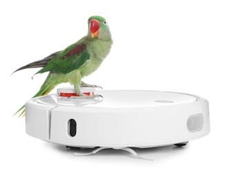 Modern robotic vacuum cleaner and Alexandrine parakeet on white background