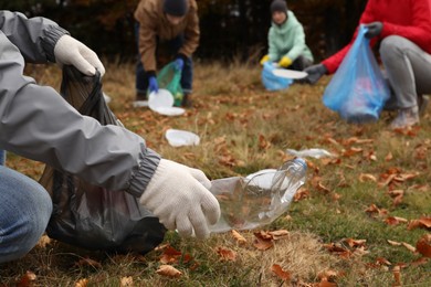 People with trash bags collecting garbage in nature, closeup