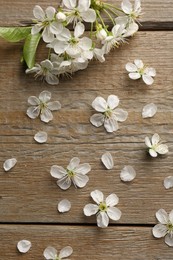 Photo of Spring blossoms, petals and leaves on wooden table, flat lay